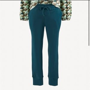 Kate Quinn mama mom adult women skinny jogger 70s teal Turquoise stargazer pants
